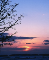 夕日